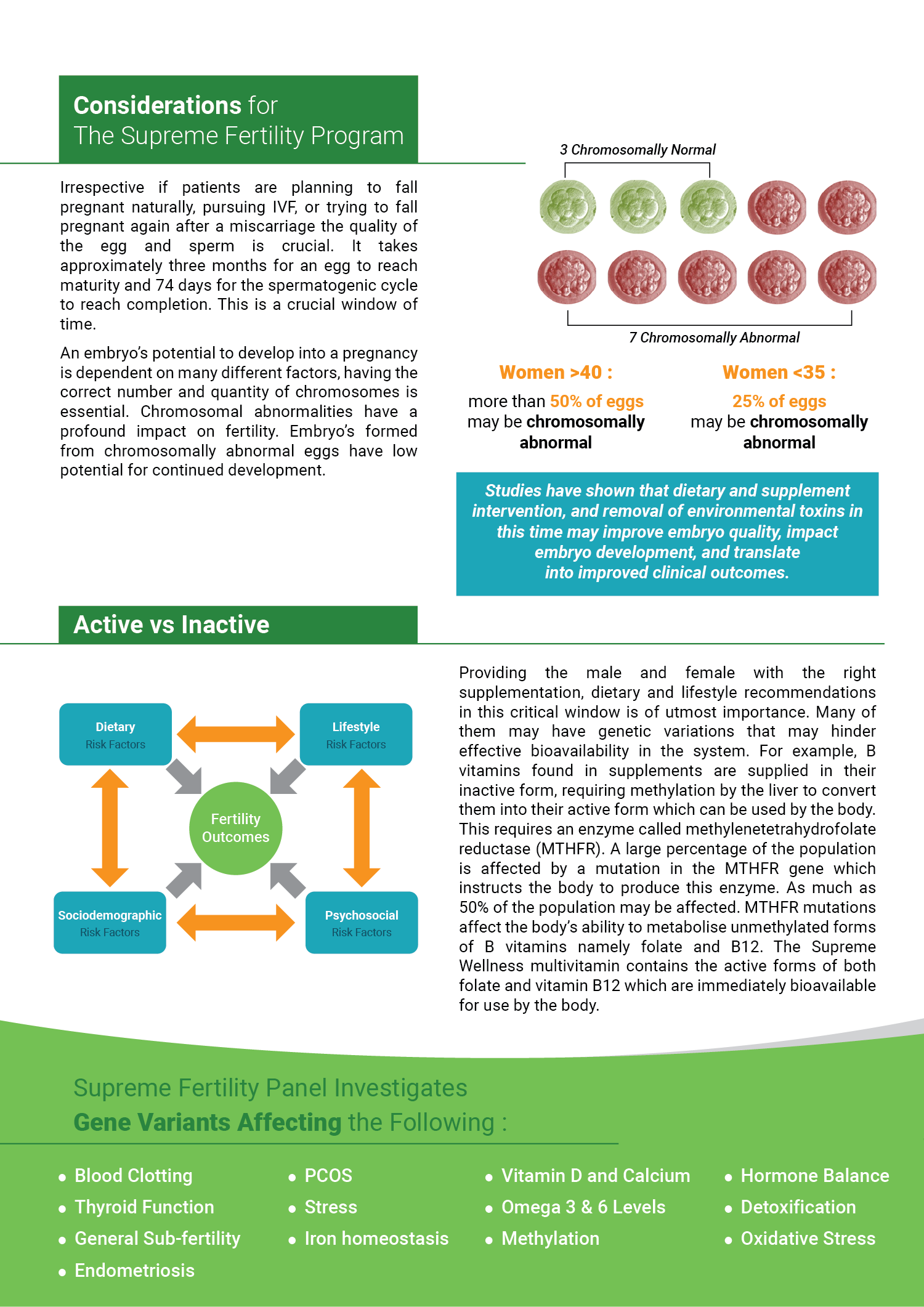 Flyer Design by Akshar Shailesh for DL Langley | Design #26053284