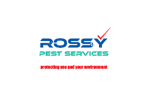 Design de Logo par pixelbox pour ce projet | Design : #3035008