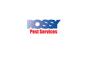 Logo Design by pixelbox for this project | Design #3056803
