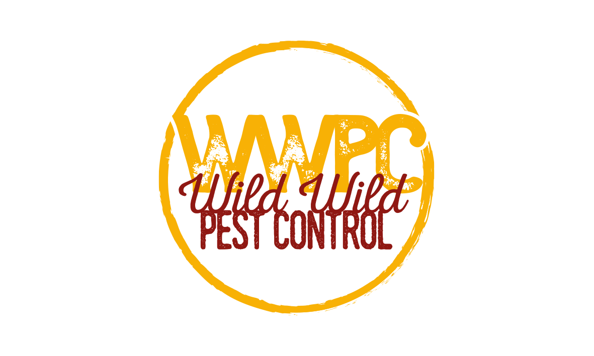 Diseño de Logo por patriciaparadesign para Best Rate Repair | Diseño #25990325