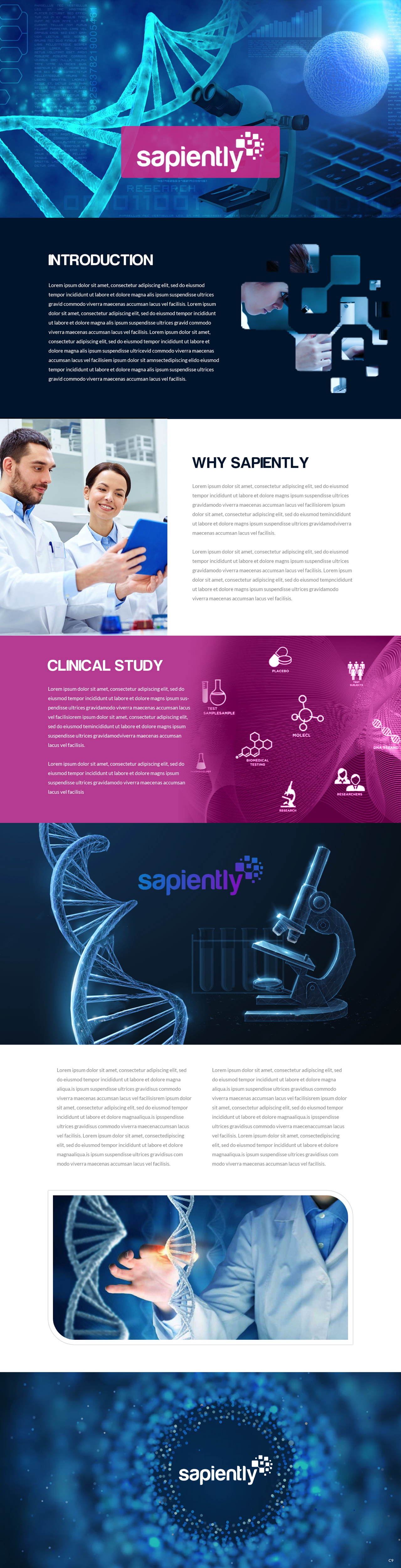 Design de PowerPoint par pb pour sapiently | Design #25980216