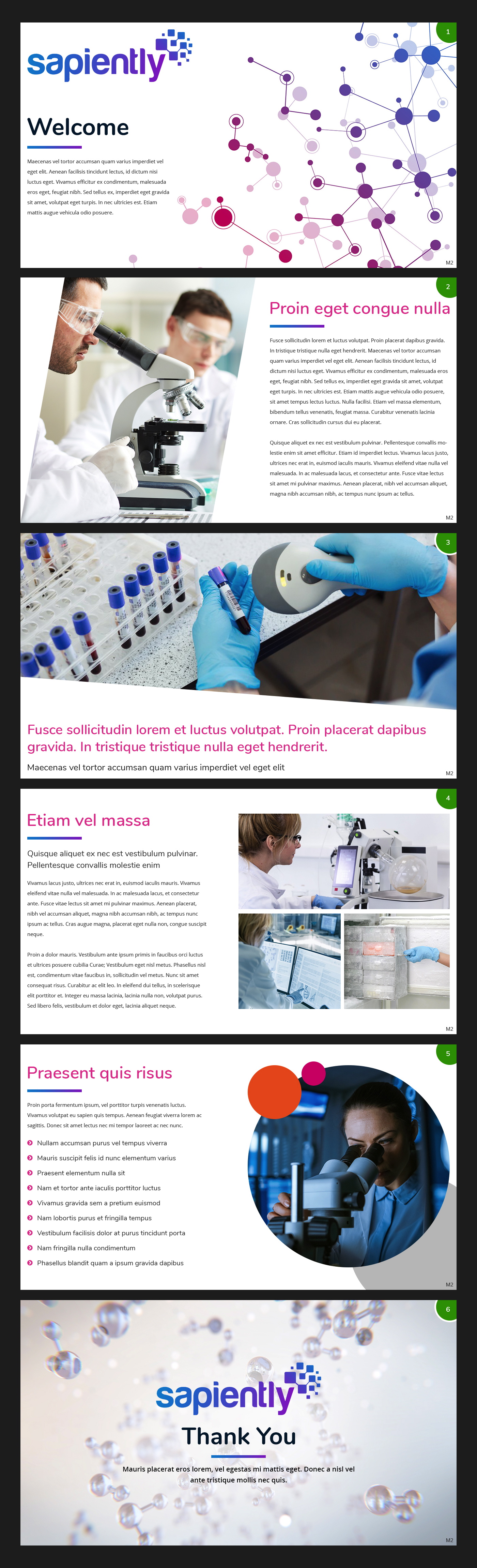 Diseño de PowerPoint por pb para sapiently | Diseño #25980221