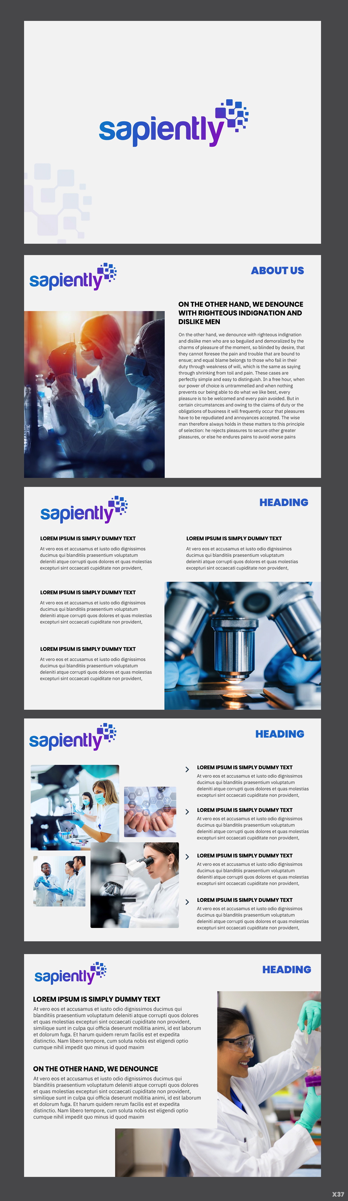 PowerPoint Design by pb for sapiently | Design #25980223