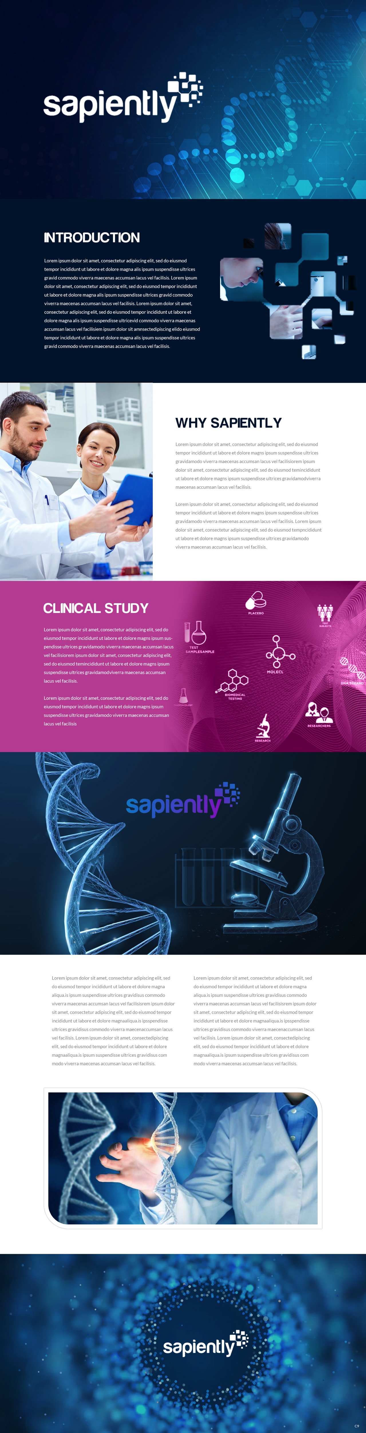 Diseño de PowerPoint por pb para sapiently | Diseño #25986244