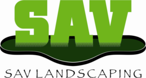 Logo Design by Doug Bliss