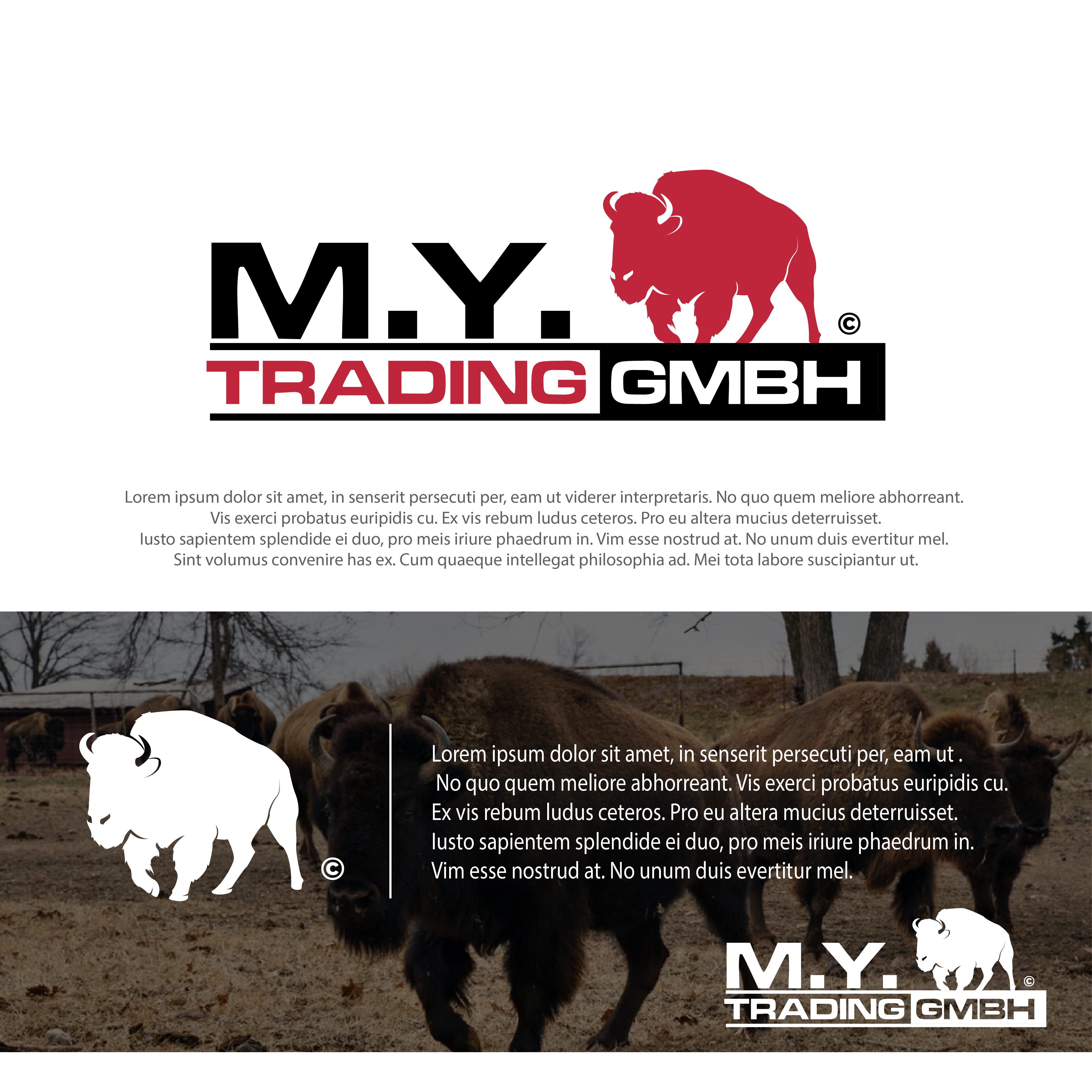 Logo Design by farady for Mikyas Holding GmbH | Design #26140494