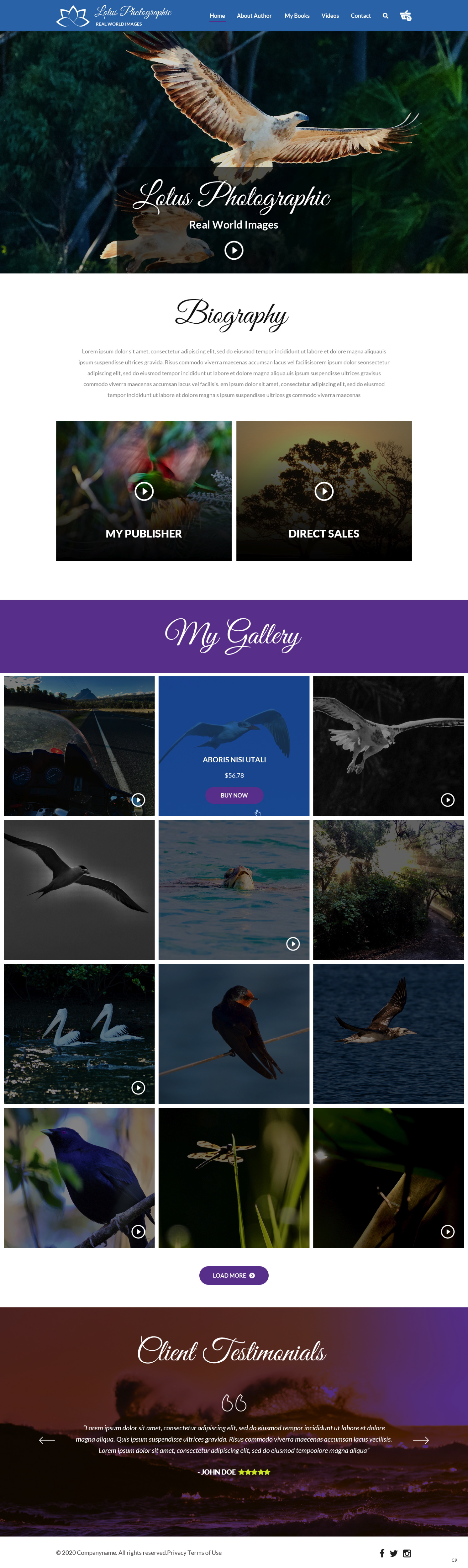 Diseño Web por pb para este proyecto | Diseño #25986234