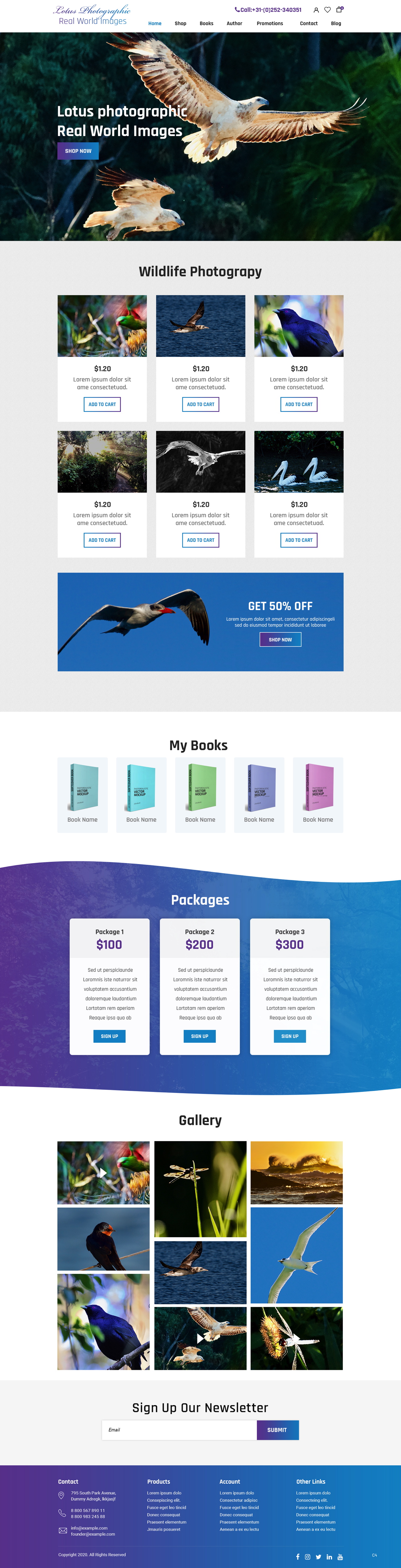 Diseño Web por pb para este proyecto | Diseño #25986235