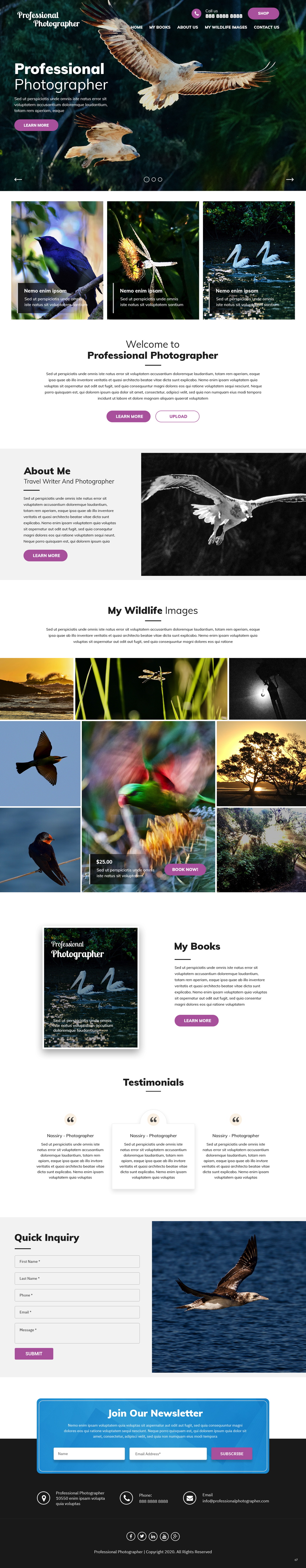 Diseño Web por pb para este proyecto | Diseño #25989566