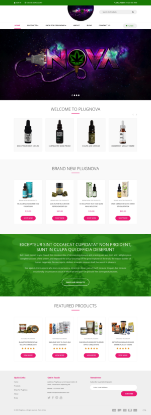 Diseño Web por pb para este proyecto | Diseño: #25992995