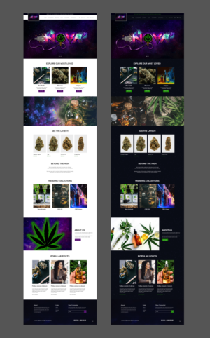 Diseño Web por pb para este proyecto | Diseño: #25992997