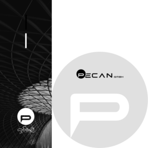 Pecan GmbH | Logo Design by SamiddhaH