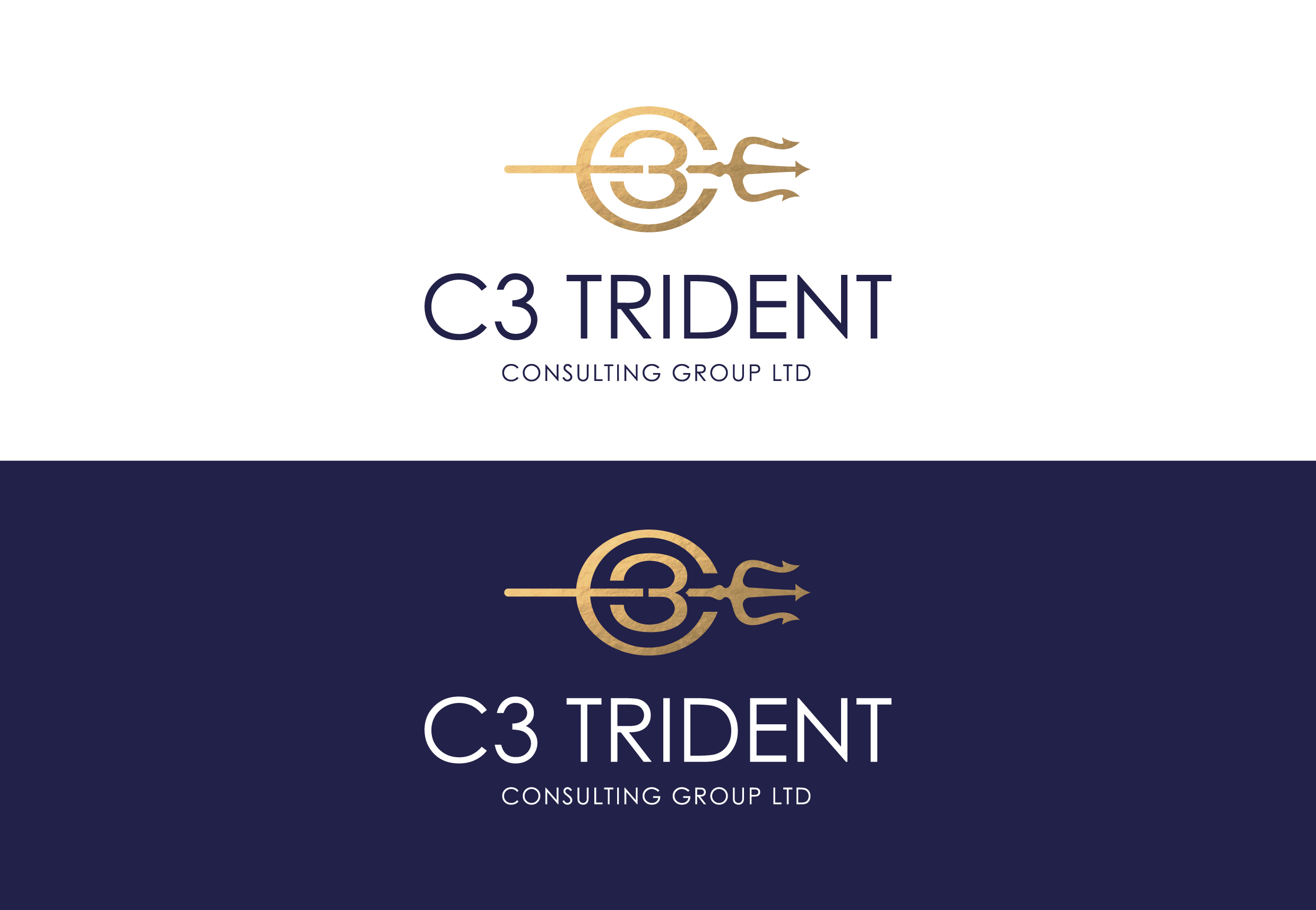 Logo Design by bdk1976 for this project | Design #25999712