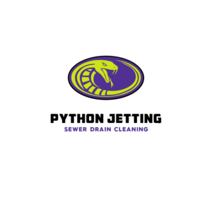 Python Jetting | Logo Design by borzoid