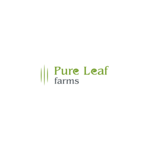 Logo Design by ijozef