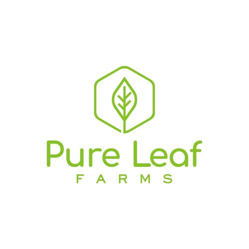 Logo Design by sarinop for Mr. | Design: #26009935
