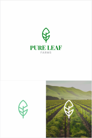 Logo Design by Naavyd for Mr. | Design: #26028155