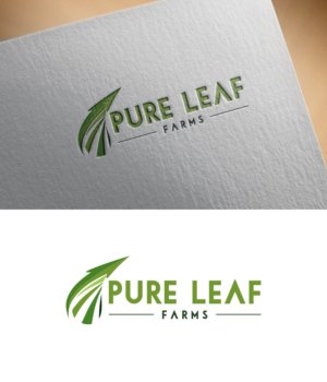Logo Design by design.bb for Mr. | Design: #26008874