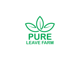 Logo Design by Wisdom12 for Mr. | Design #26007392