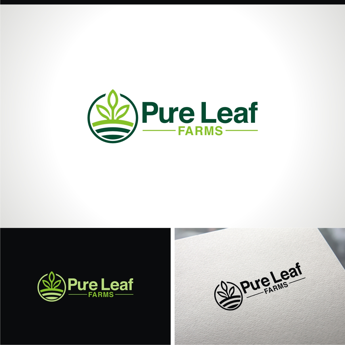 Logo Design by e-graphics for Mr. | Design #26003081