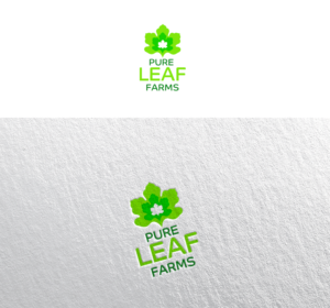 Logo Design by Alla Glyanez for Mr. | Design #26018023