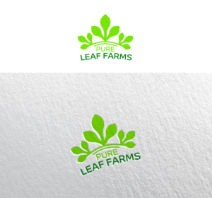Logo Design by Alla Glyanez for Mr. | Design: #26018058