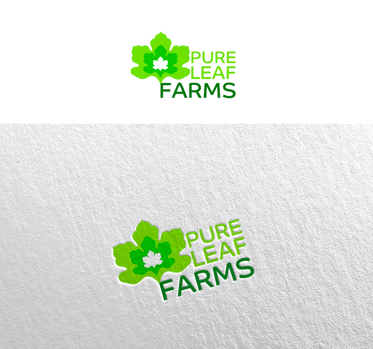 Logo Design by Alla Glyanez for Mr. | Design #26018061