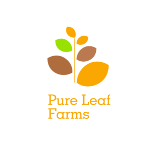 Logo Design by PhuongBui92