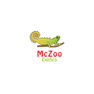 Logo Design by Zakir 4
