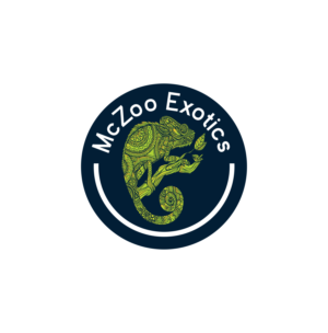 Logo Design by ERLANDO RONTE RDJ for this project | Design: #26011994