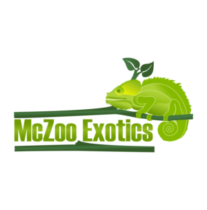 Logo Design by ERLANDO RONTE RDJ for this project | Design: #26015884