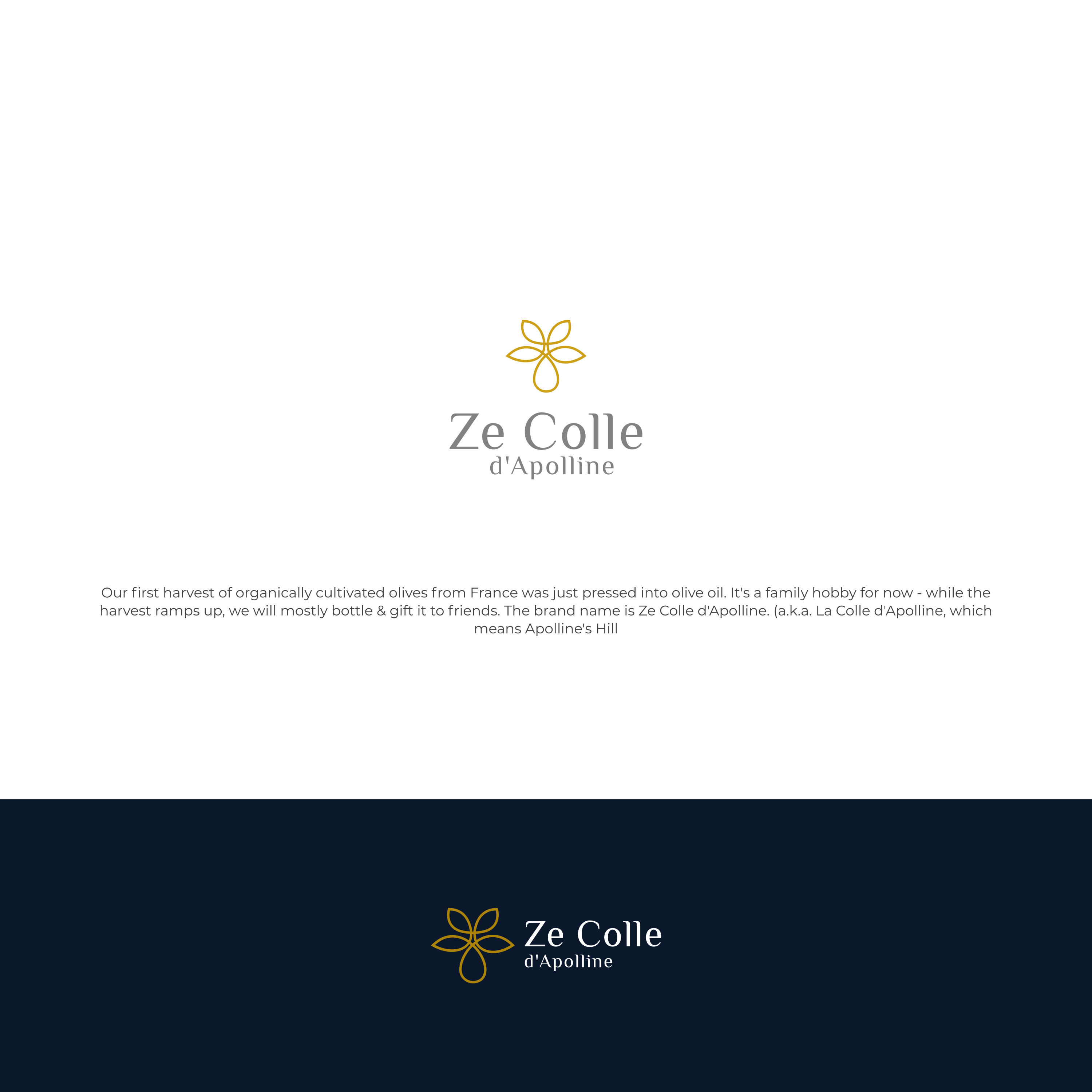 Logo Design by ybmdesign for ROQ 4 Tomorrow | Design #26005732