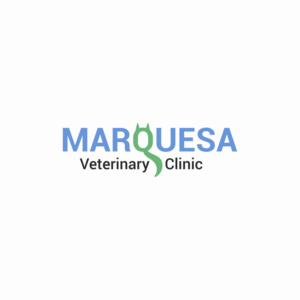 Logo Design by nikhilp00056