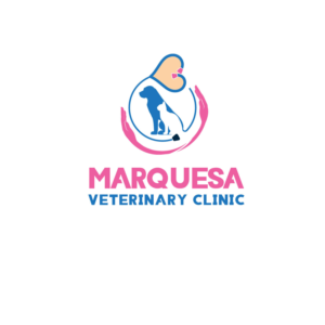 Logo Design by Wonderful design for this project | Design: #26013922