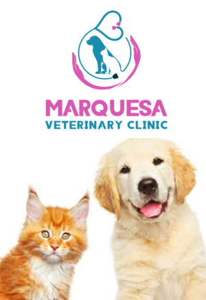 Logo Design by Wonderful design for this project | Design: #26013923
