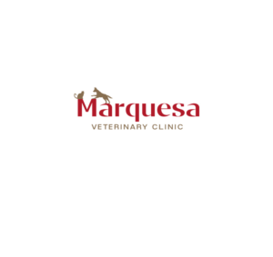 Logo Design by instudio for this project | Design: #26008979