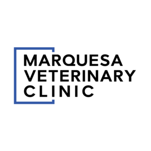 Logo Design by Gecco