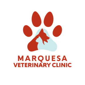 Logo Design by Gecco for this project | Design: #26035849