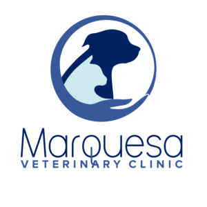 Logo Design by Gecco for this project | Design: #26036048