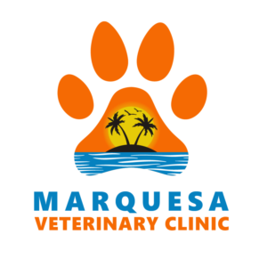 Logo Design by Gecco for this project | Design: #26036277