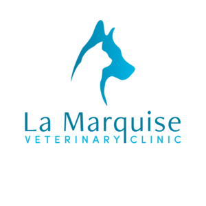 Logo Design by Gecco for this project | Design: #26037486