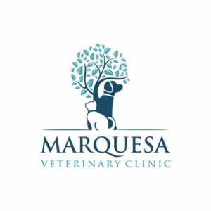 Logo Design by andsproject for this project | Design: #26038064