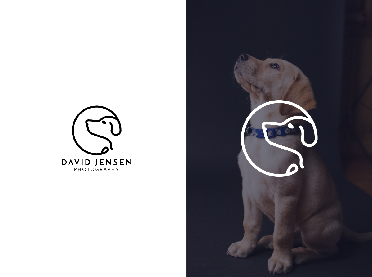Logo Design by Vetroff for David Jensen Photography | Design #26008557