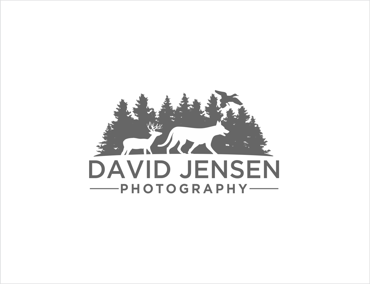 Logo Design by BNdesigner for David Jensen Photography | Design #26009241