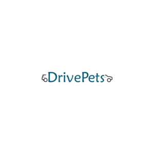 Logo Design by Bling Connect Ink