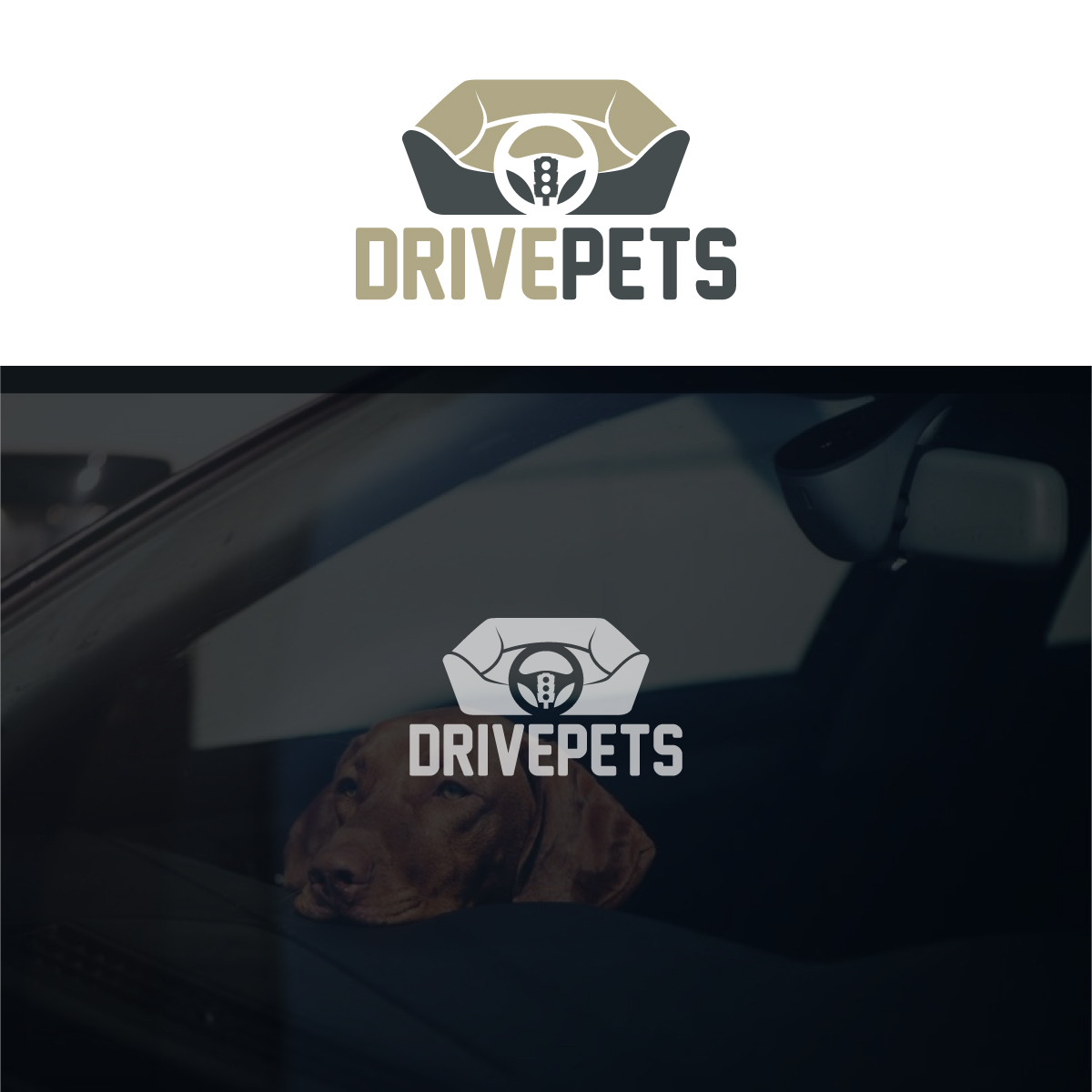 Logo Design by Graphic Bricks for this project | Design #26009566