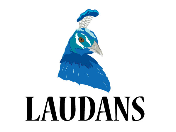 Logo Design by Starkal Graphicx for Laudans | Design #733357
