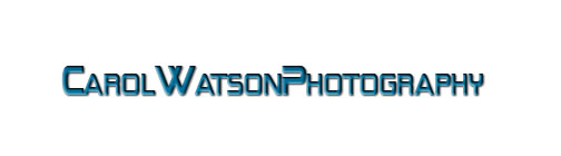 Logo Design by inspiredart for Carol Watson Photogr | Design #64762