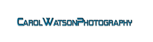 Logo Design by inspiredart