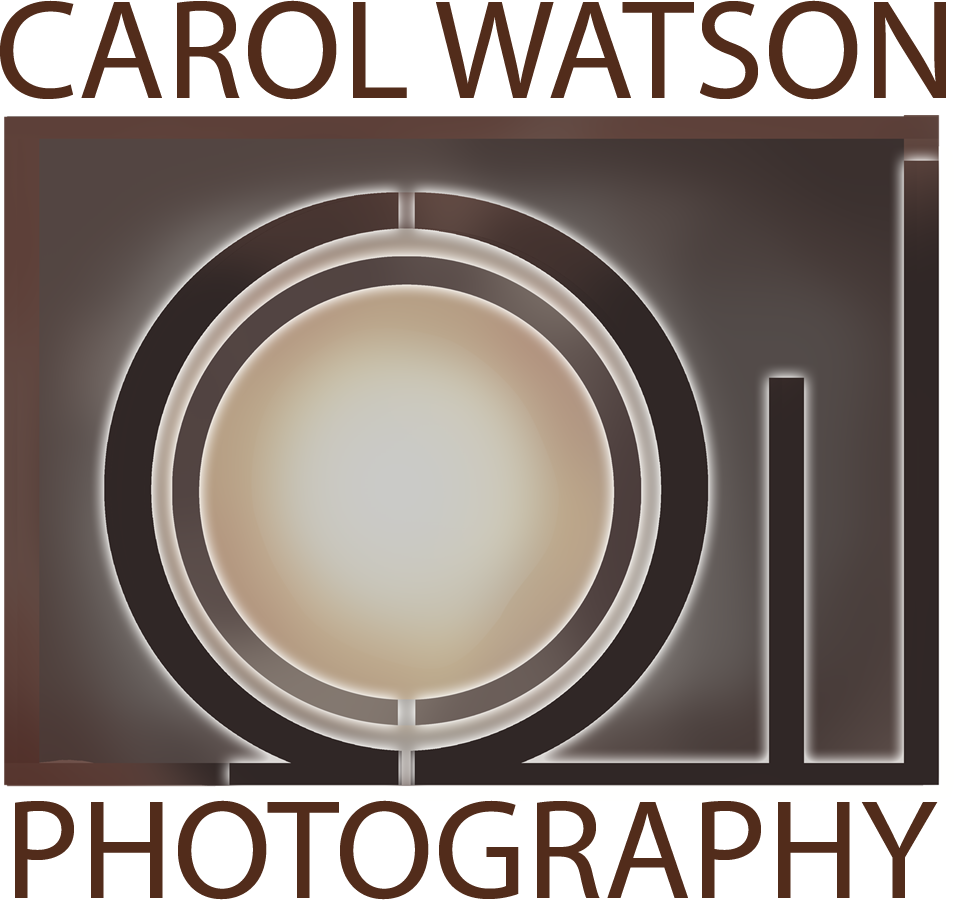 Design de Logo par Marco Polo pour Carol Watson Photogr | Design #67056